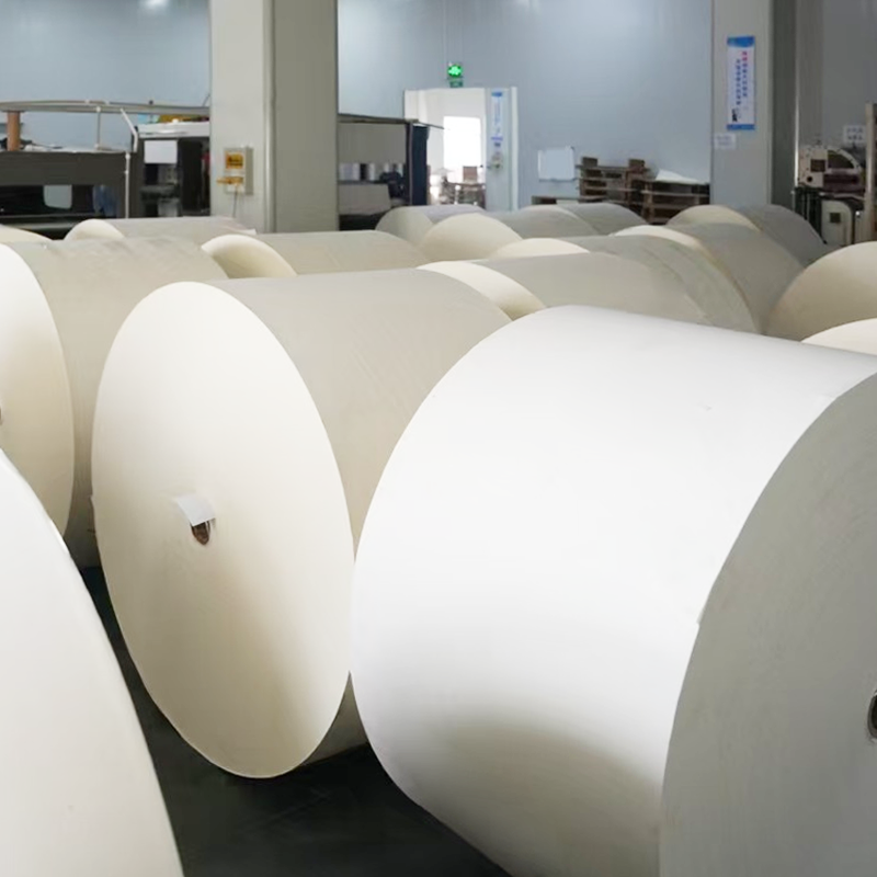 퇴비화 가능한 플라스틱이없는 코팅 컵 바닥 용지